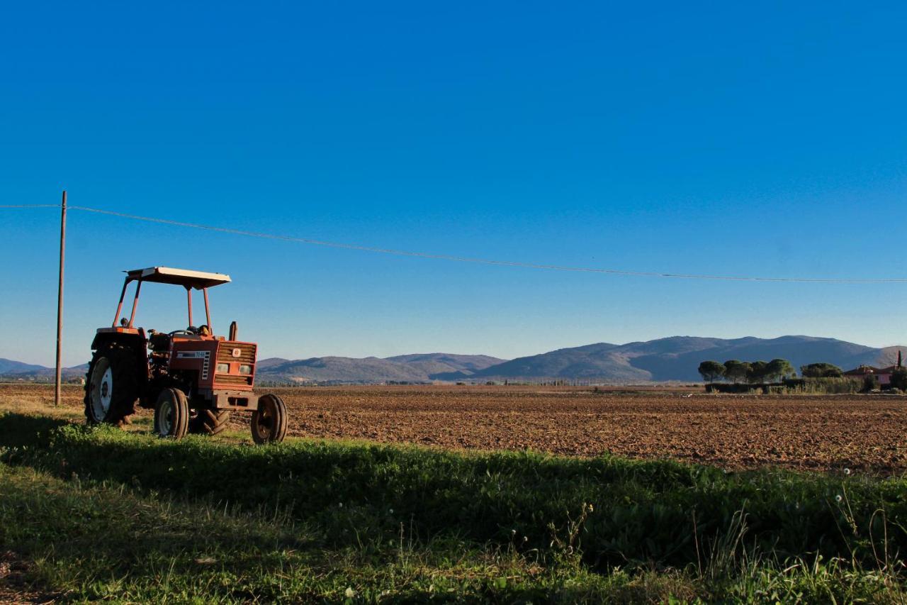 Agriturismo Poderedodici أوربيتيلو المظهر الخارجي الصورة