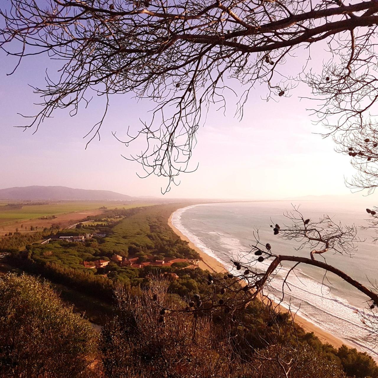 Agriturismo Poderedodici أوربيتيلو المظهر الخارجي الصورة
